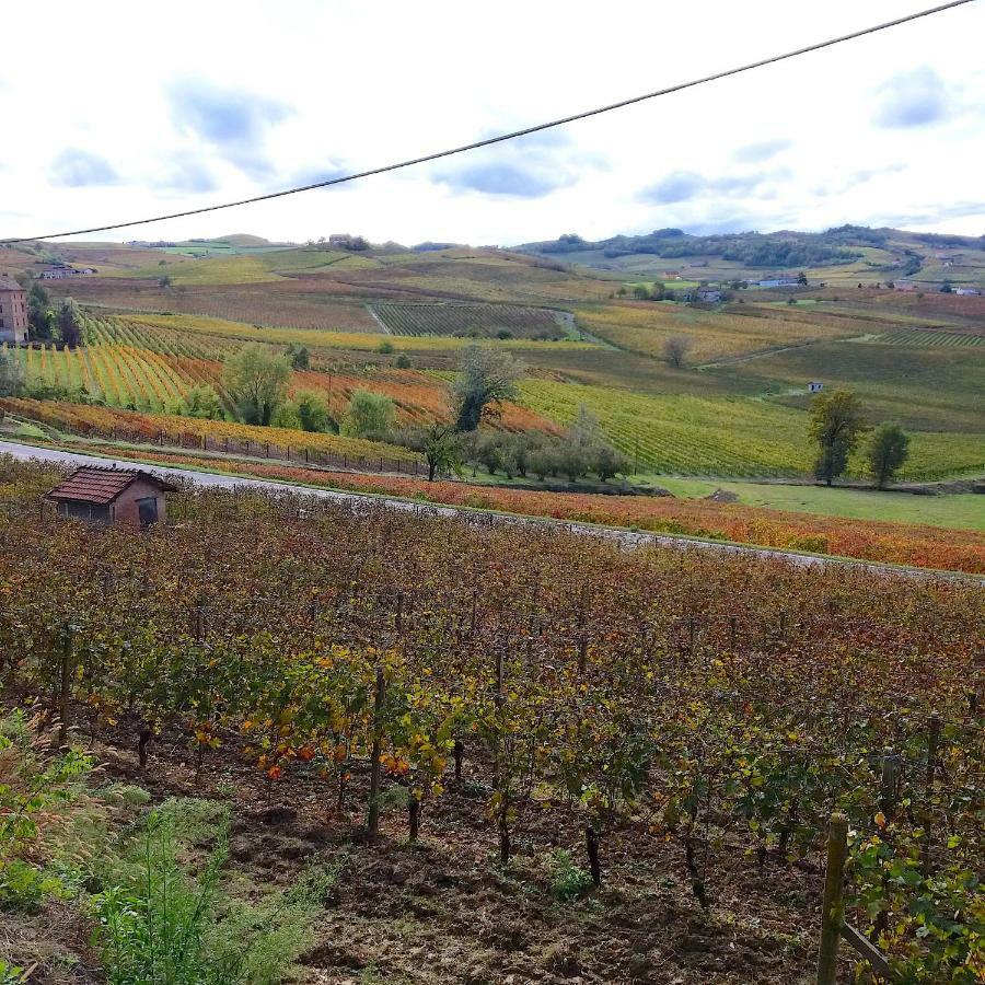 Villa Cascina Tra I Vigneti A Nizza Monferrato Exterior foto
