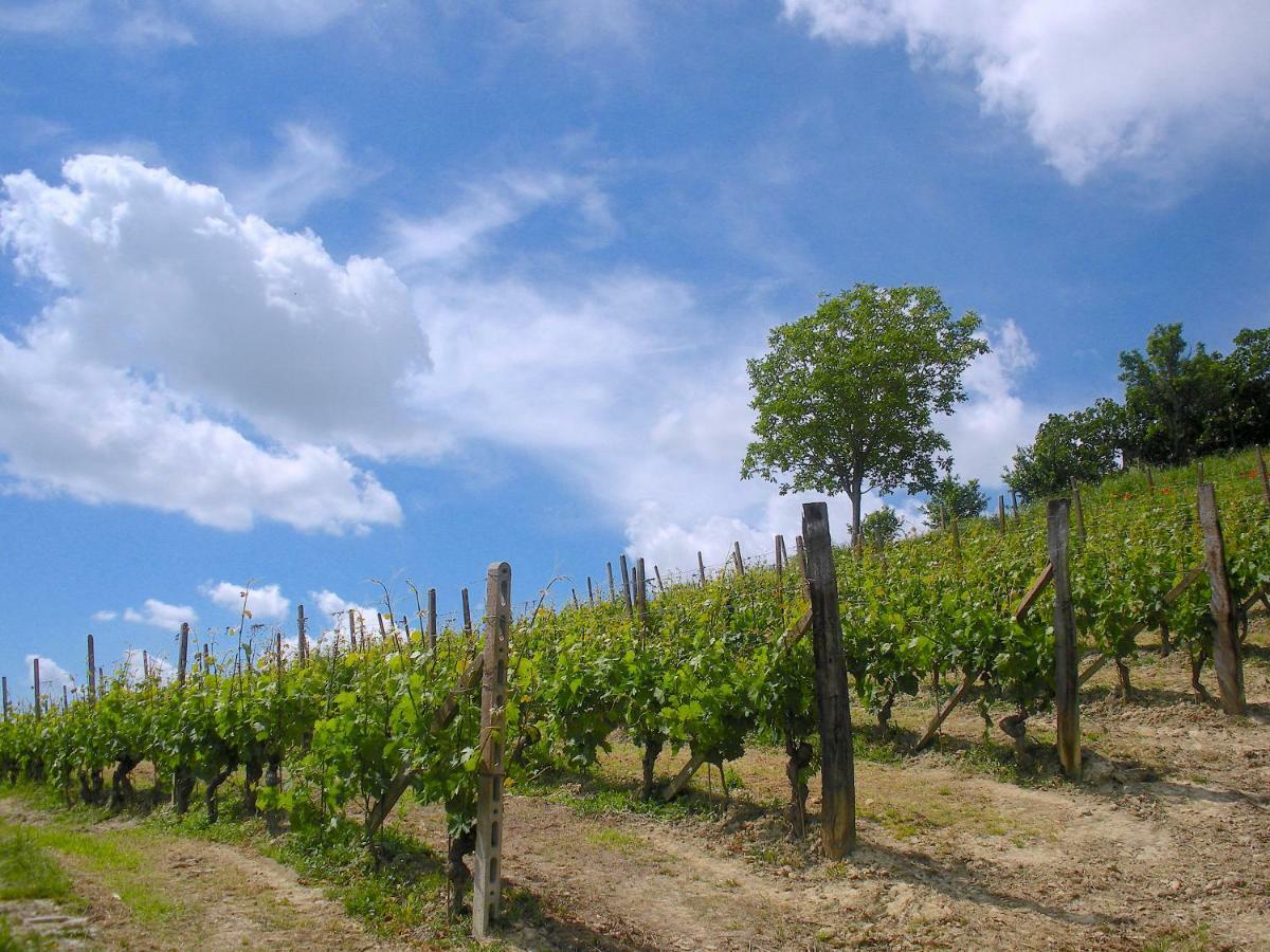 Villa Cascina Tra I Vigneti A Nizza Monferrato Exterior foto