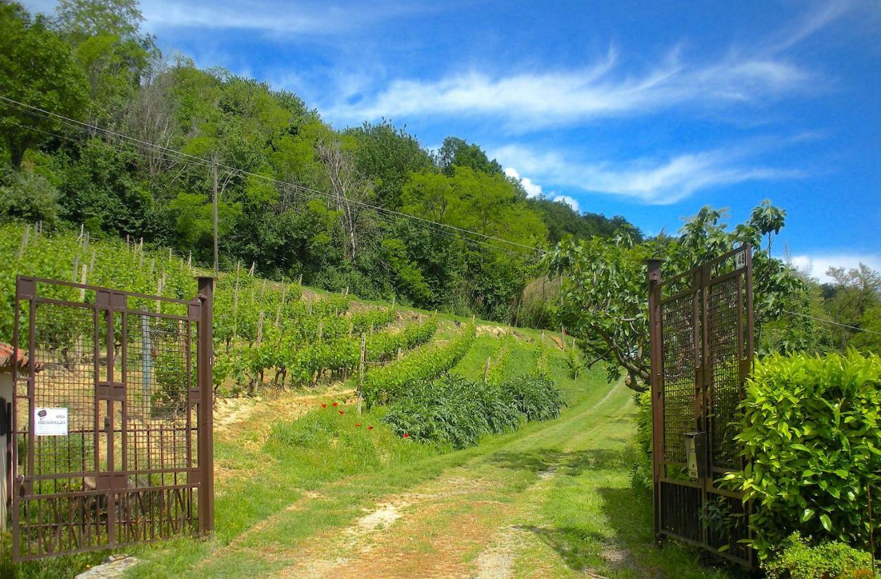 Villa Cascina Tra I Vigneti A Nizza Monferrato Exterior foto