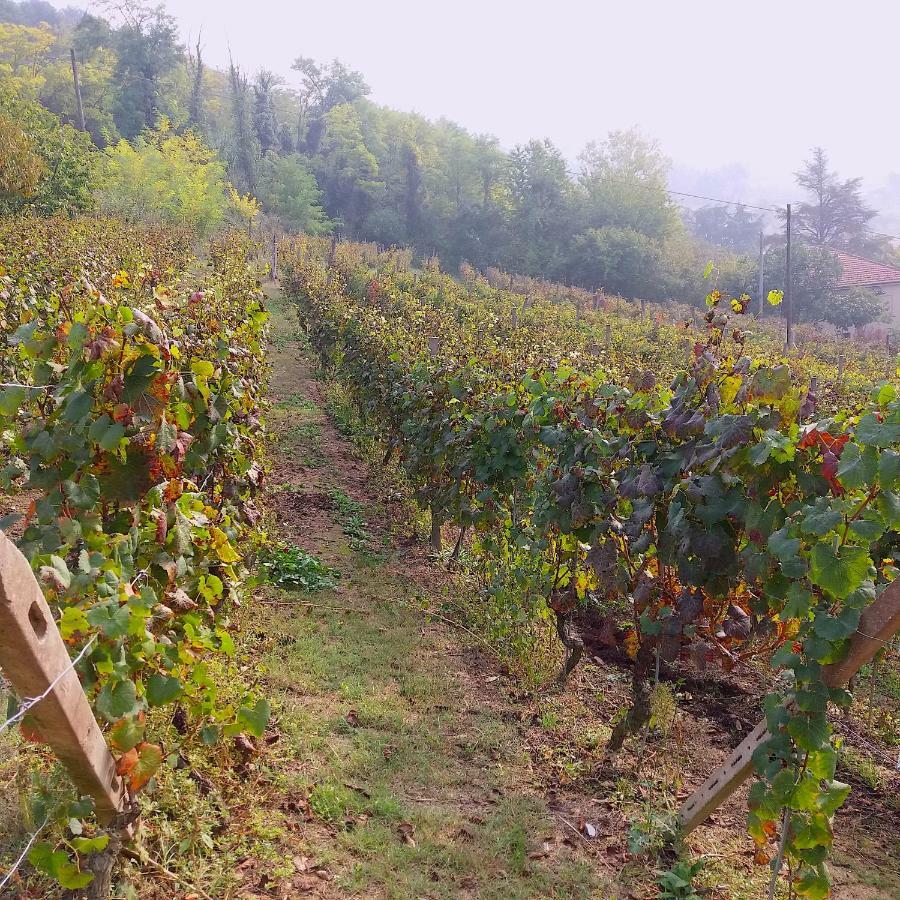 Villa Cascina Tra I Vigneti A Nizza Monferrato Exterior foto